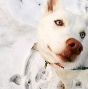 Meet your Posher, Bre